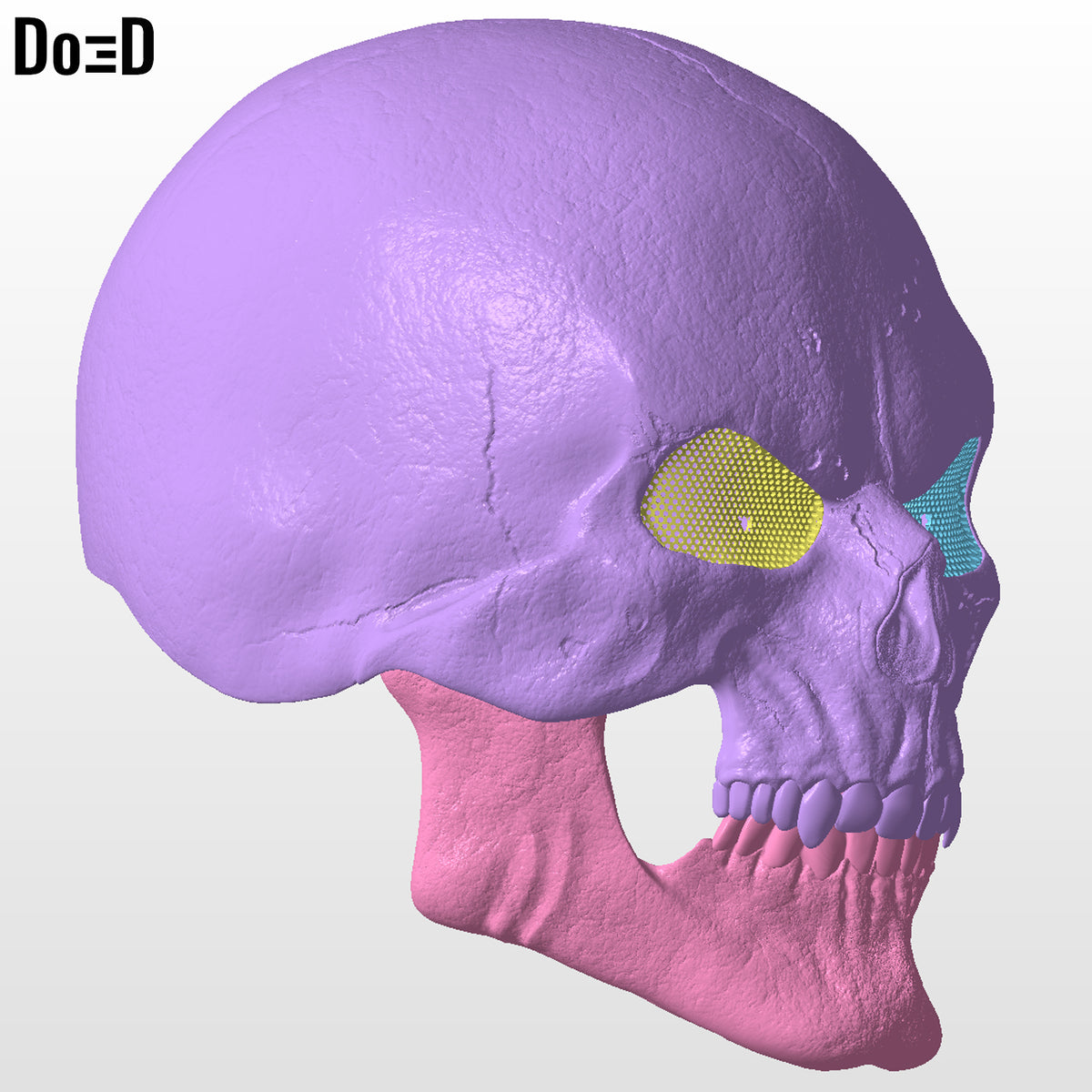Skeletor Helmet + Collar + Havoc Staff 3D Printable Model Mask #SM953