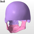 Skeletor Helmet + Collar + Havoc Staff 3D Printable Model Mask #SM953